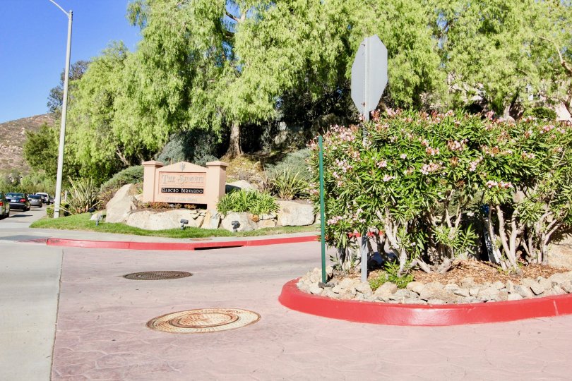 The Summit Condos, Lofts & Townhomes For Sale The Summit Real Estate