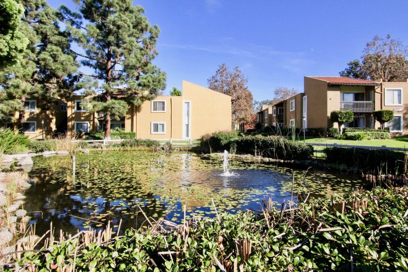 Waterbridge Condos, Lofts & Townhomes For Sale Waterbridge Real