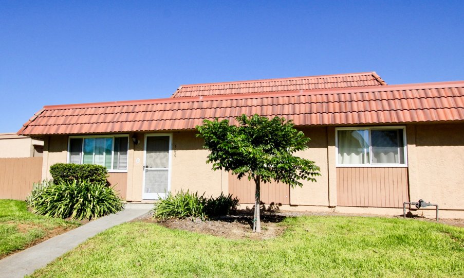 Lake Park Terrace Condos, Lofts & Townhomes For Sale Lake Park