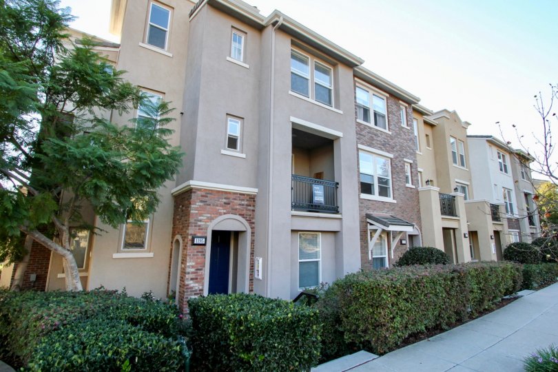 Village Square Condos, Lofts & Townhomes For Sale Village Square Real