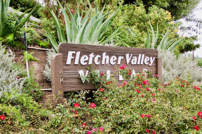Fletcher Valley Villas Condos, Lofts & Townhomes For Sale Fletcher