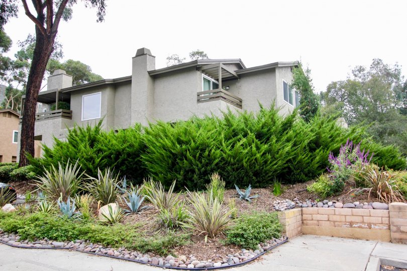 Highland Trails Condos, Lofts & Townhomes For Sale Highland Trails