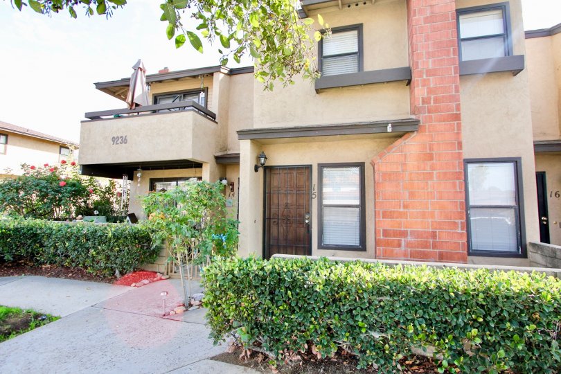 Lakeview Carlton Hills Condos, Lofts & Townhomes For Sale Lakeview