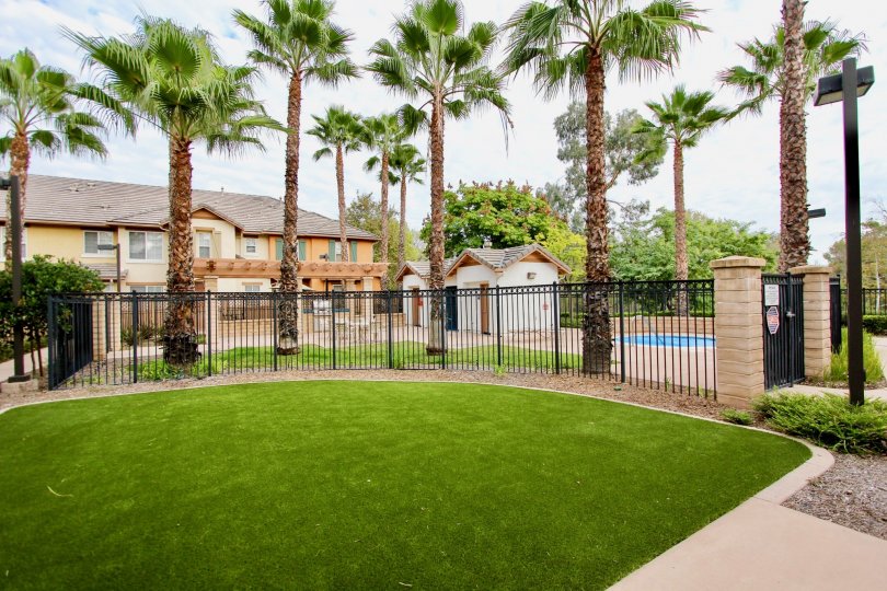 Palmilla Condos, Lofts & Townhomes For Sale Palmilla Real Estate