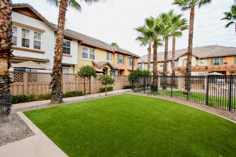 Palmilla Condos, Lofts & Townhomes For Sale Palmilla Real Estate