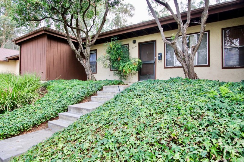 Sunset Greens Condos, Lofts & Townhomes For Sale Sunset Greens Real