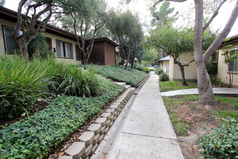 Sunset Greens Condos, Lofts & Townhomes For Sale Sunset Greens Real