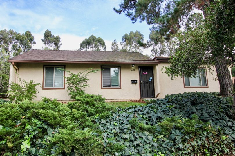 Sunset Greens Condos, Lofts & Townhomes For Sale Sunset Greens Real