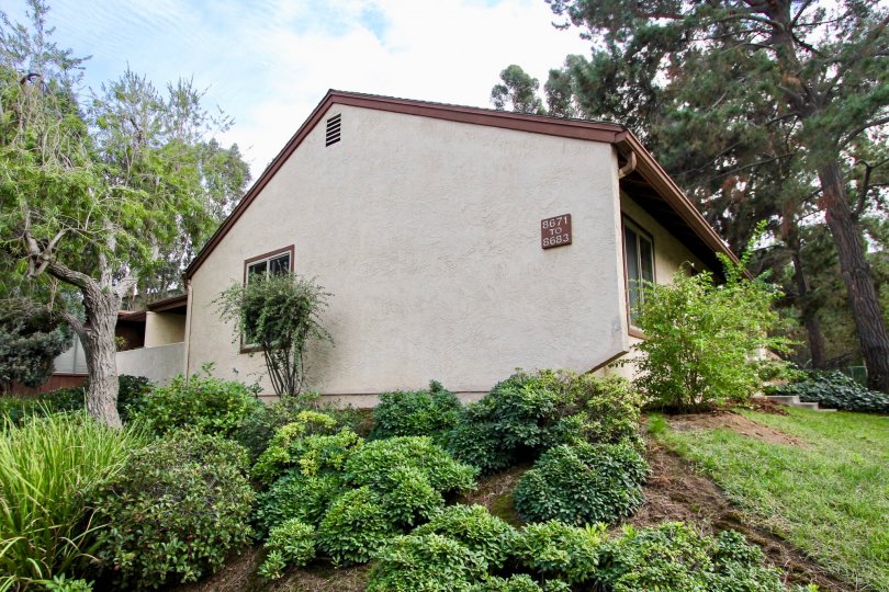 Sunset Greens Condos, Lofts & Townhomes For Sale Sunset Greens Real