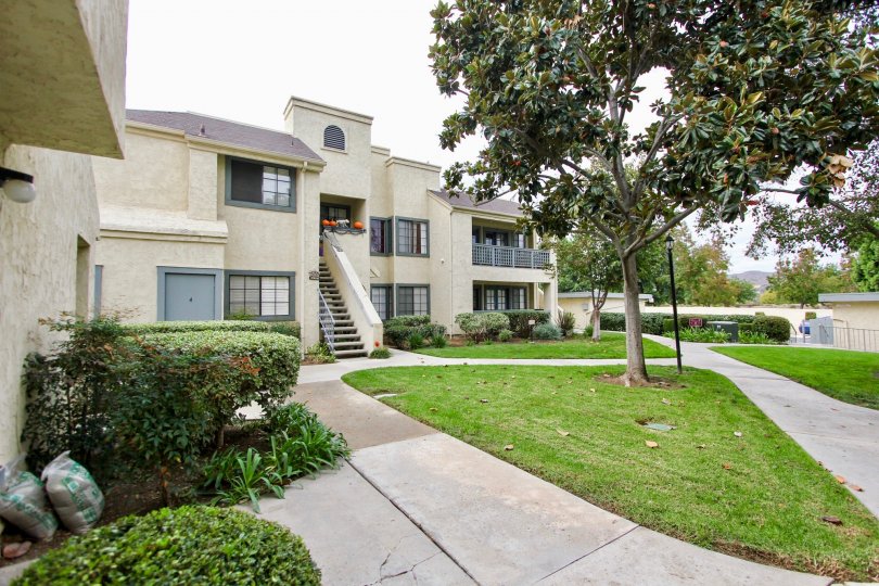 Vista Del Rio Condos, Lofts & Townhomes For Sale Vista Del Rio Real