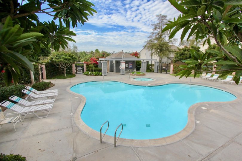 Ashford Park Condos, Lofts & Townhomes For Sale Ashford Park Real