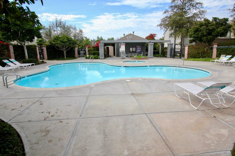 Ashford Park Condos, Lofts & Townhomes For Sale Ashford Park Real