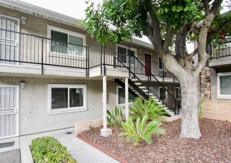 Buena Vista Condominiums Condos, Lofts & Townhomes For Sale Buena