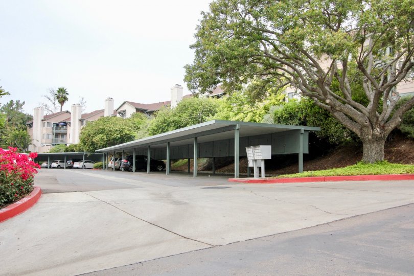 Ranchwood Park Condos, Lofts & Townhomes For Sale Ranchwood Park Real