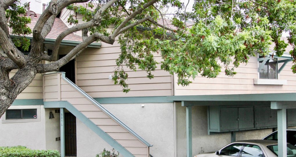 Ranchwood Park Condos, Lofts & Townhomes For Sale Ranchwood Park Real