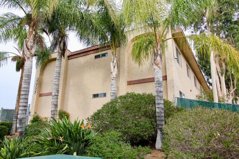 Summertree Condos, Lofts & Townhomes For Sale Summertree Real Estate