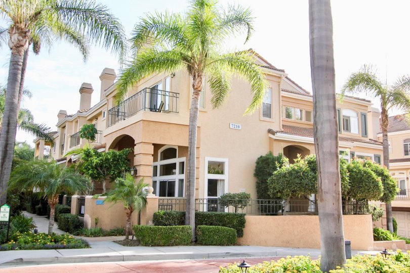 Avanti Condos, Lofts & Townhomes For Sale Avanti Real Estate Avanti