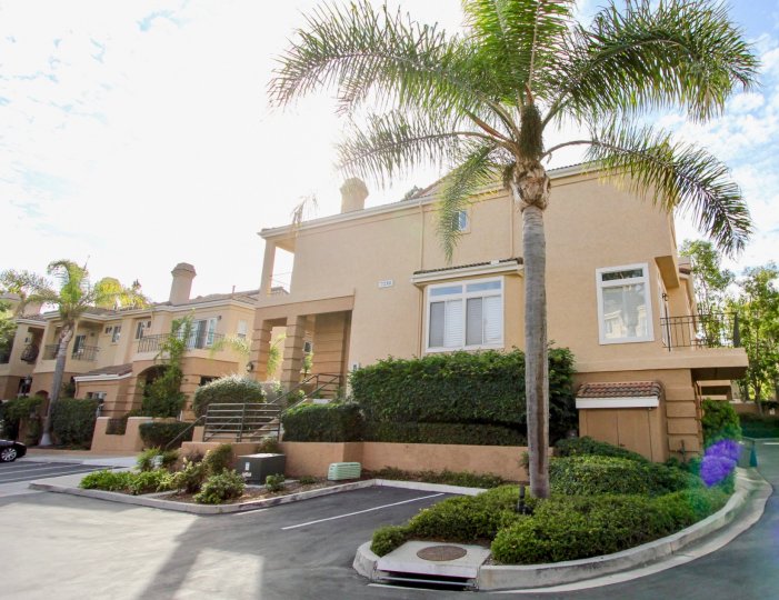 Avanti Condos, Lofts & Townhomes For Sale Avanti Real Estate Avanti