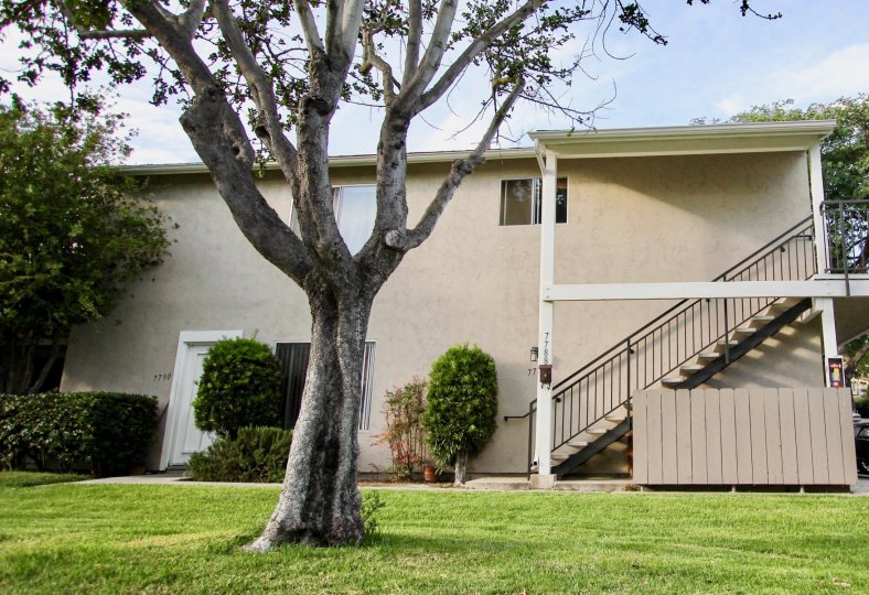 Genesee Highlands Condos, Lofts & Townhomes For Sale Genesee