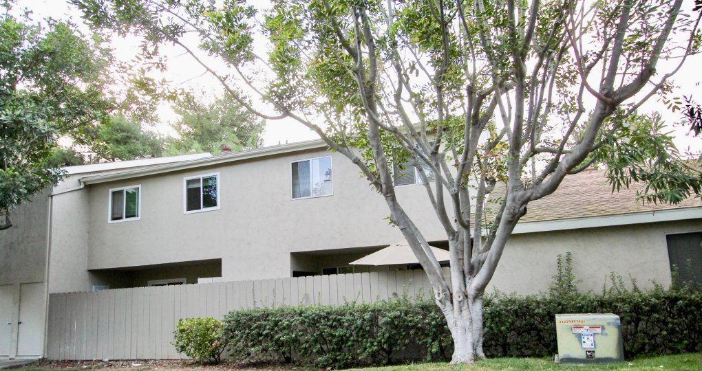 Genesee Highlands Condos, Lofts & Townhomes For Sale Genesee