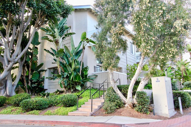 La Jolla Village Park Condos, Lofts & Townhomes For Sale La Jolla