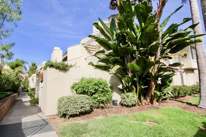 Villas at University Park Condos, Lofts & Townhomes For Sale Villas