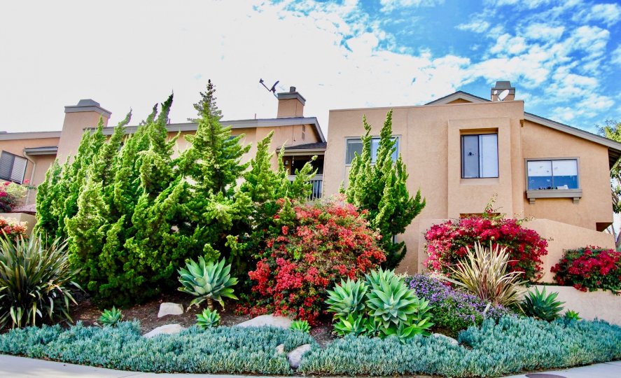 Vista La Jolla Condos, Lofts & Townhomes For Sale Vista La Jolla Real