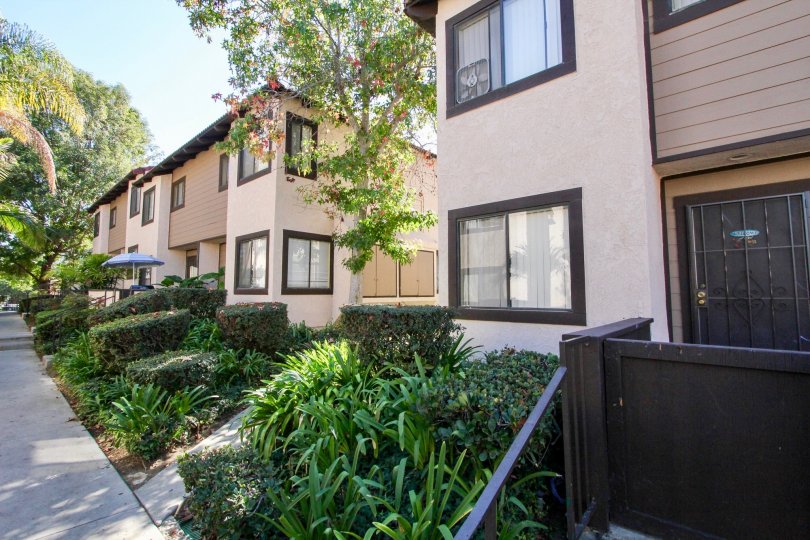 Buena Vista Townhomes Condos, Lofts & Townhomes For Sale Buena Vista