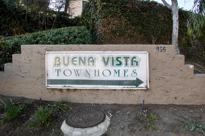Buena Vista Townhomes Condos, Lofts & Townhomes For Sale Buena Vista