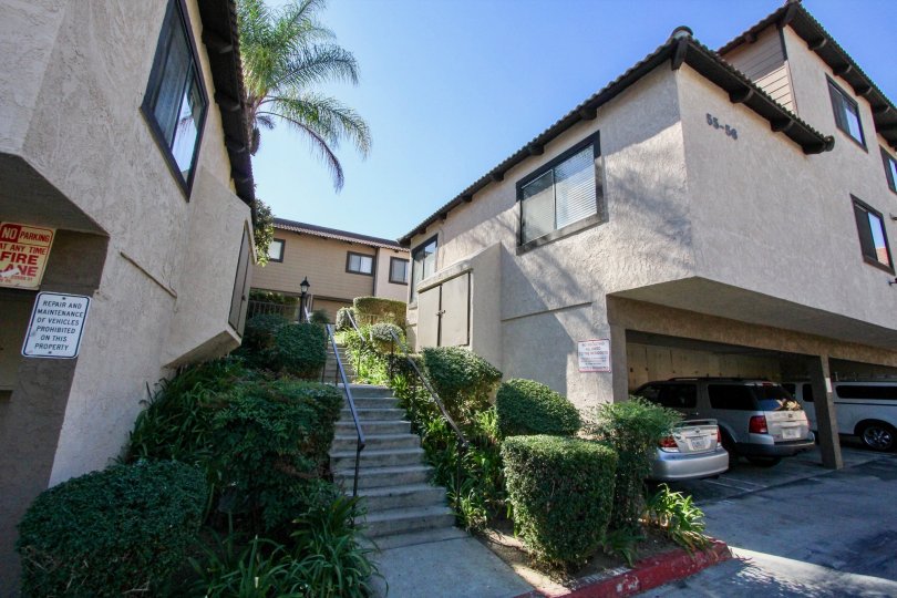 Buena Vista Townhomes Condos, Lofts & Townhomes For Sale Buena Vista