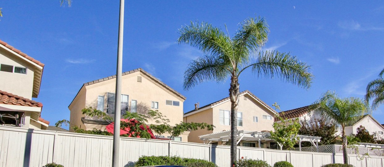 Calypso Condos, Lofts & Townhomes For Sale Calypso Real Estate