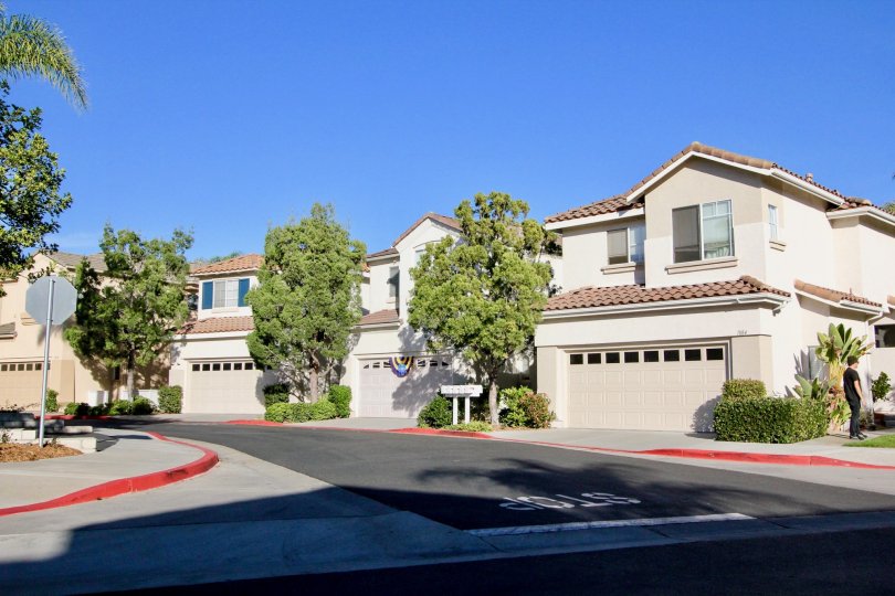 Calypso Condos, Lofts & Townhomes For Sale Calypso Real Estate