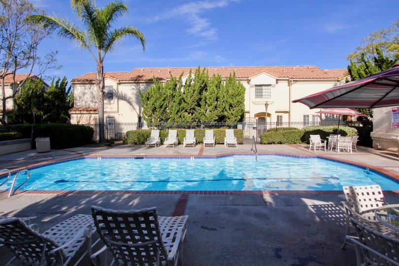 Charlemont Condos, Lofts & Townhomes For Sale Charlemont Real Estate