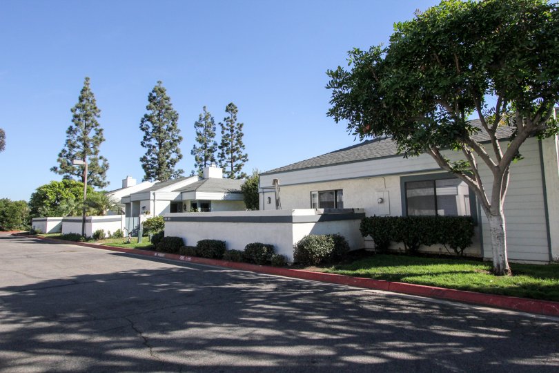 Copper Hill Condos, Lofts & Townhomes For Sale Copper Hill Real