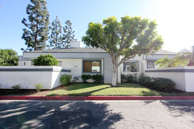 Copper Hill Condos, Lofts & Townhomes For Sale Copper Hill Real