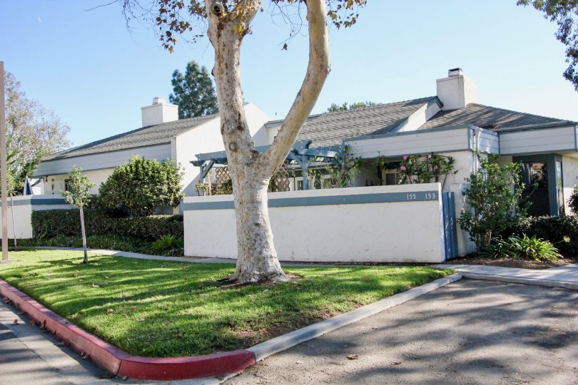 Copper Hill Condos, Lofts & Townhomes For Sale Copper Hill Real