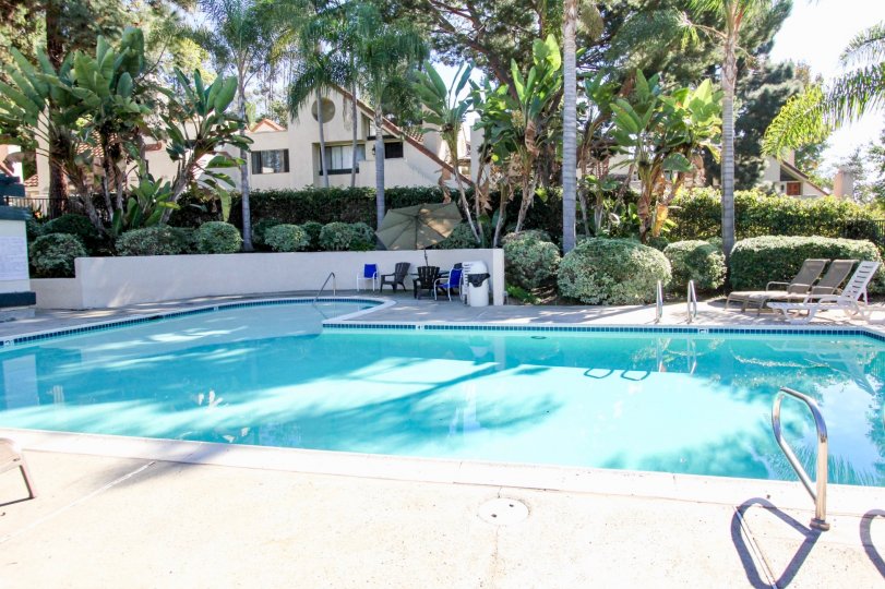 Melrose Park Condos, Lofts & Townhomes For Sale Melrose Park Real