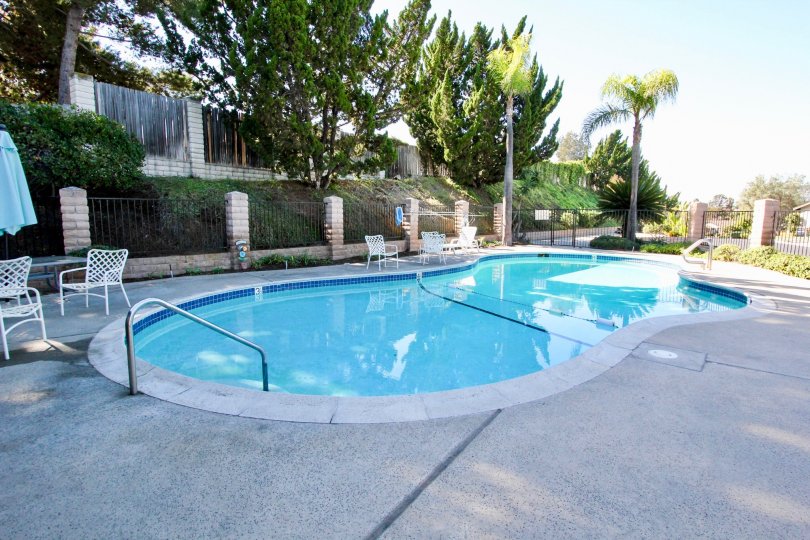 Nob Hill Condos, Lofts & Townhomes For Sale Nob Hill Real Estate