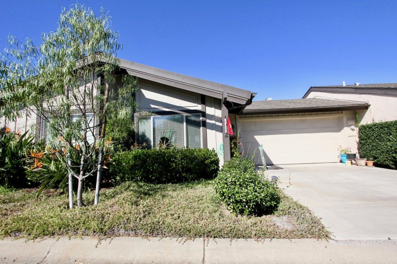 Nob Hill Condos, Lofts & Townhomes For Sale Nob Hill Real Estate