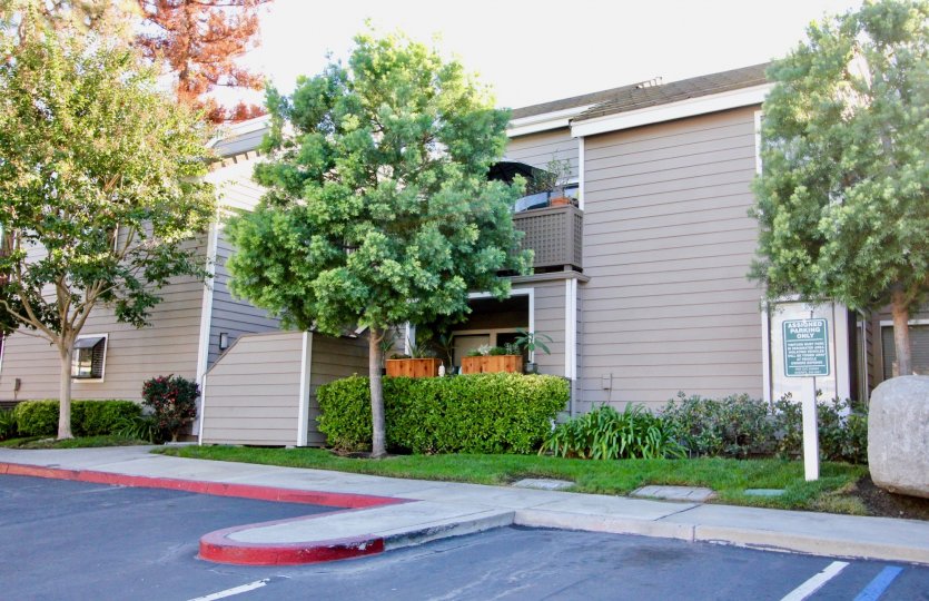 Shadowridge Aspens Condos, Lofts & Townhomes For Sale Shadowridge