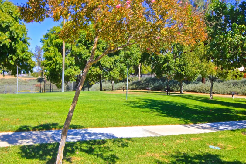 Residents can be found enjoying the many park amenities in Alta Murrieta