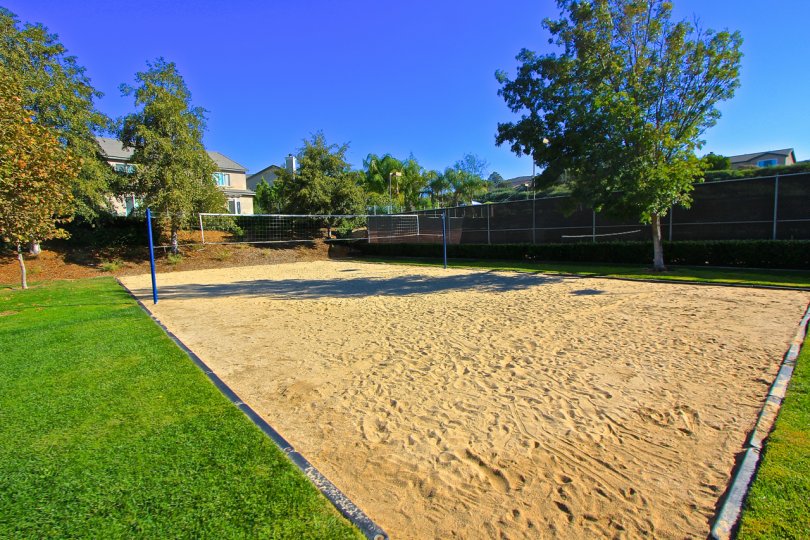 Enjoy a game of Volley Ball on the sand court at Central Park