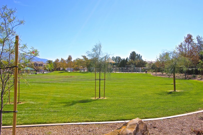 Crowne Hill features several large grassy areas