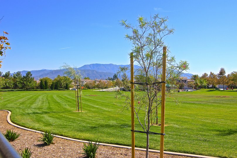 Crowne Hill boasts a large open grassy area with a park