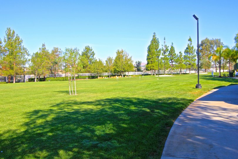 A large grass field is found in the middle of the many amenities