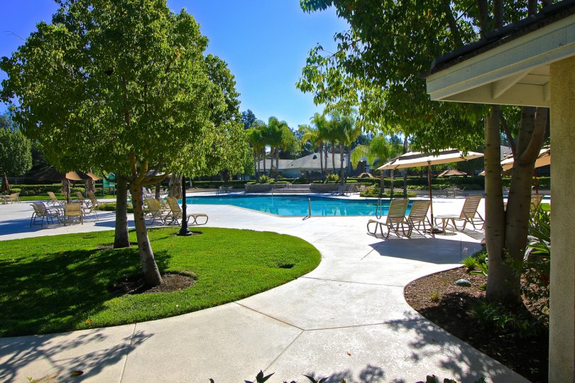 Swim some laps or lounge pool side at the Four Season Community Pool