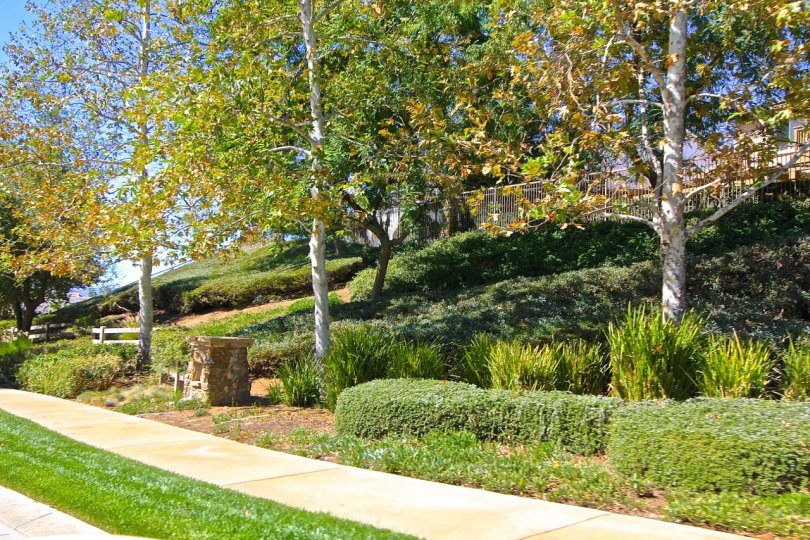 Mature landscaping exists all throughout Greer Ranch