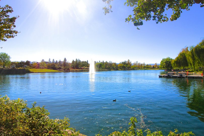 The mature landscaping and crystal blue lake make Harveston an impressive place to live