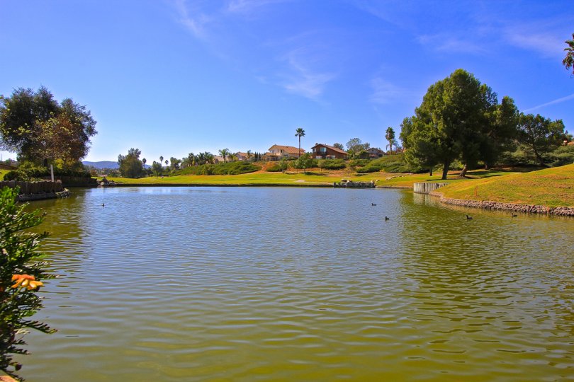 Large lake in Temeku Hills off the Golf Course