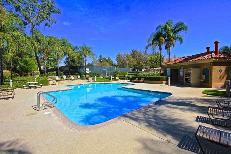 Take a dip in the pool at Paloma Del Sol